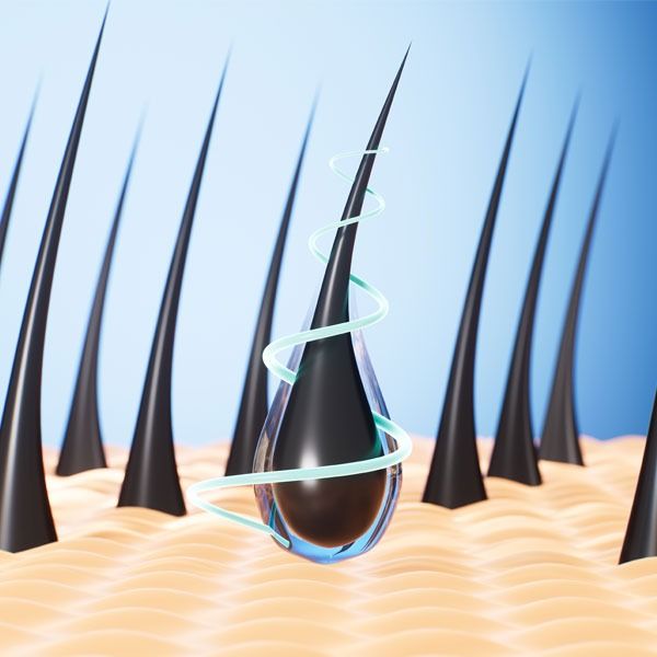 cycle_de_vie_du_cheveu_anagene_catagene_telogene_comment_ca_fonctionne_vraiment_